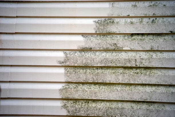 Best Wood Siding Installation  in Patterson, CA