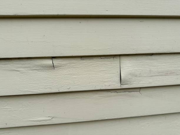 Best Storm Damage Siding Repair  in Patterson, CA